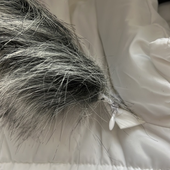 NWT,laundry by shelli segal Faux Fur Trim W Puffer Coat,white - Picture 9 of 17